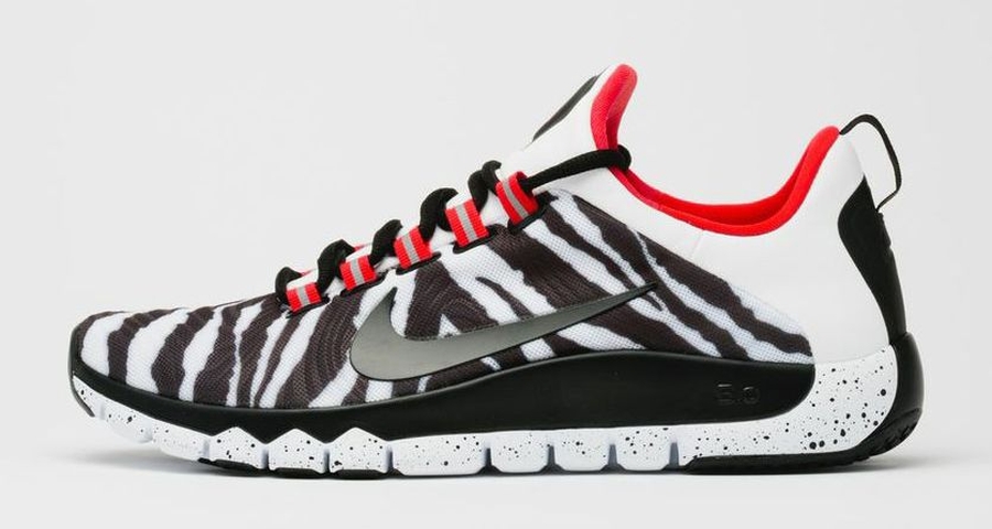Nike Free Trainer 5.0 Kingdom Zebra