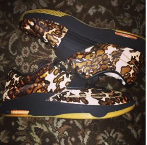 kd7